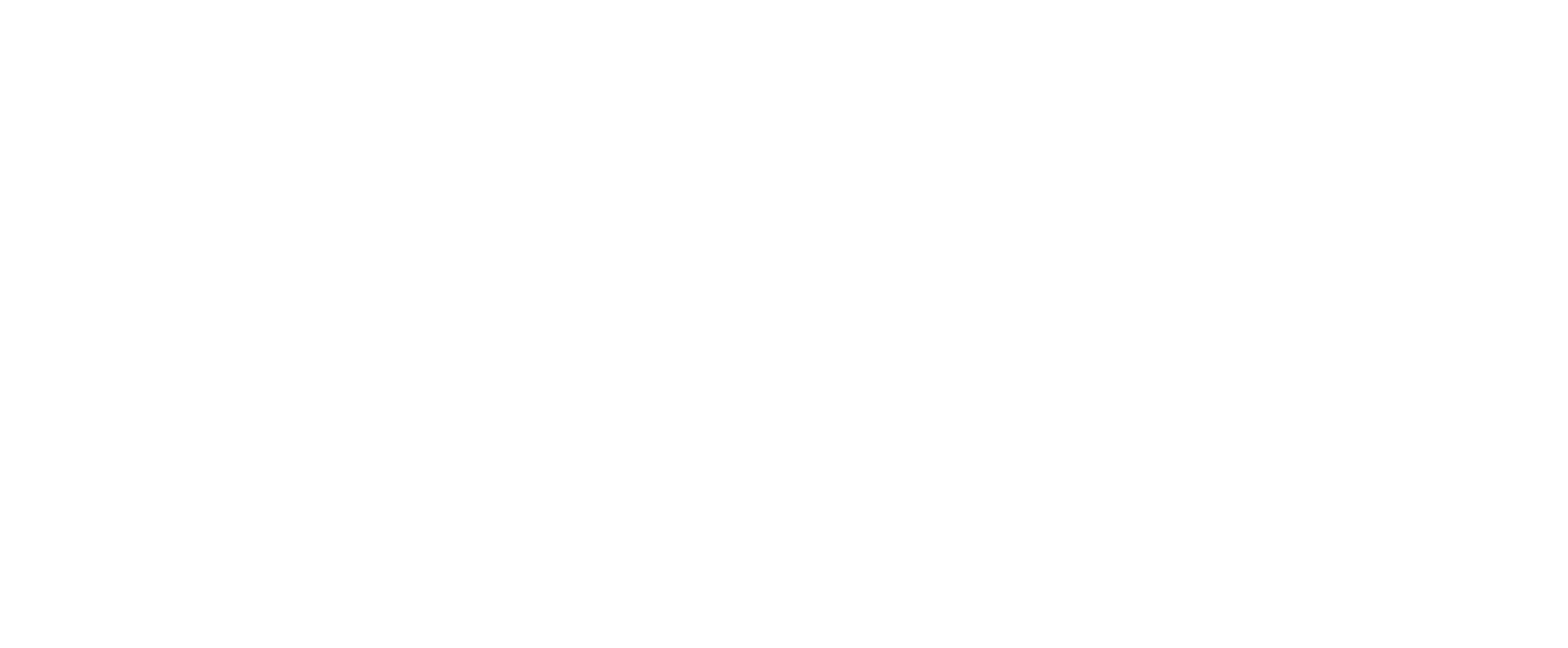 marca_aeropuestos argentina