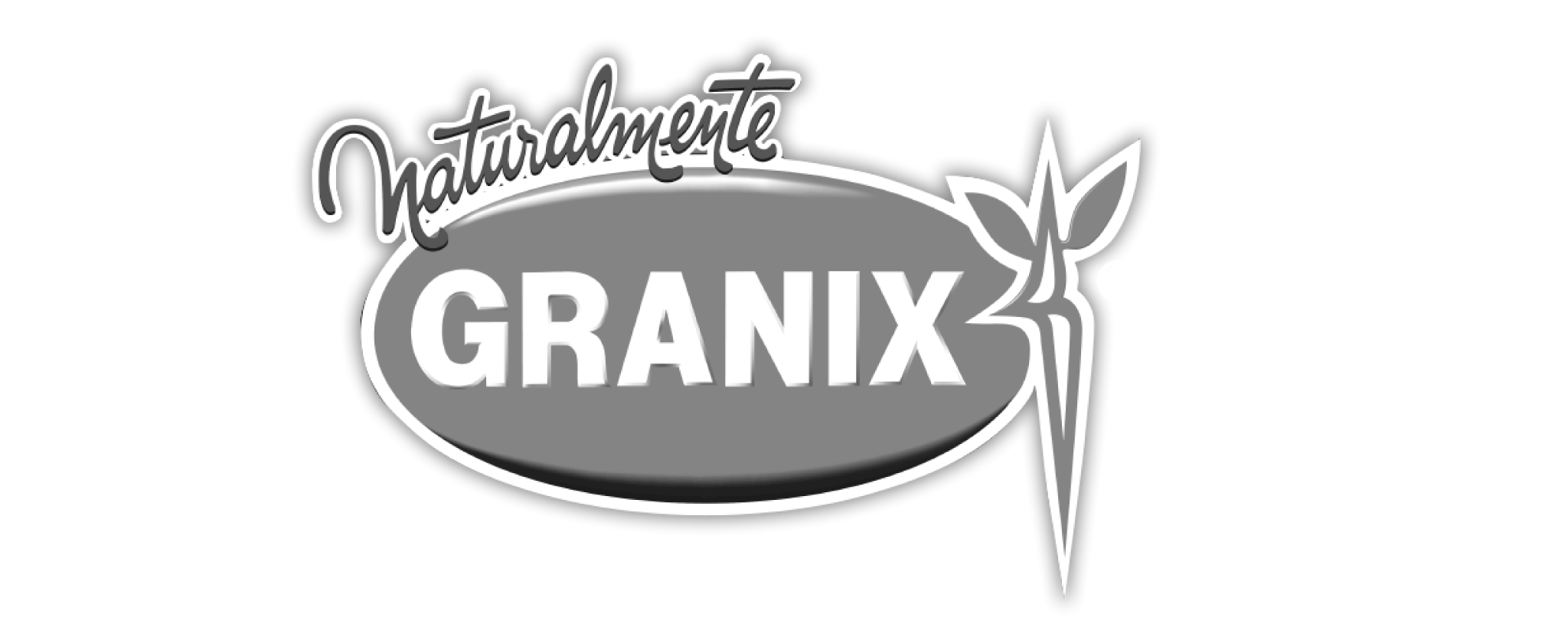 marca_granix